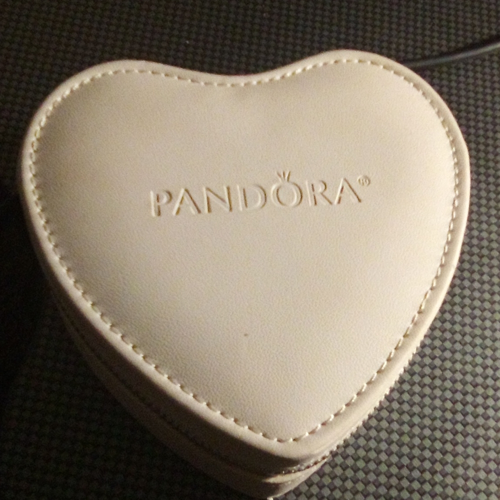 Pandora bracelet jewelry case.